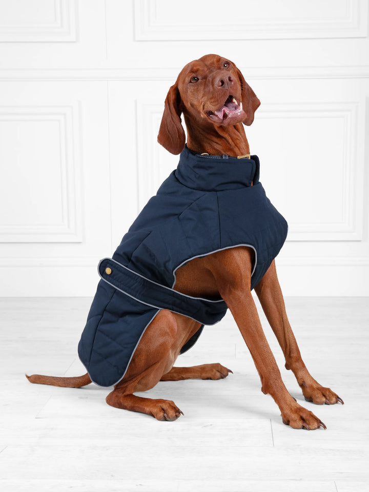 Charlotte Navy Dog Coat