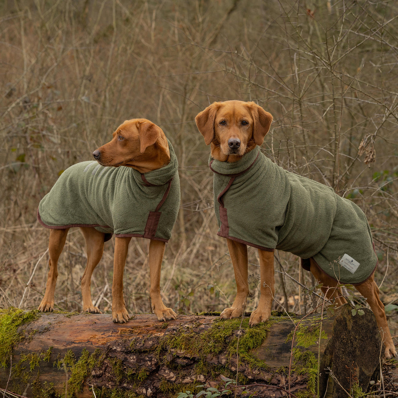 Dog sales drying coat